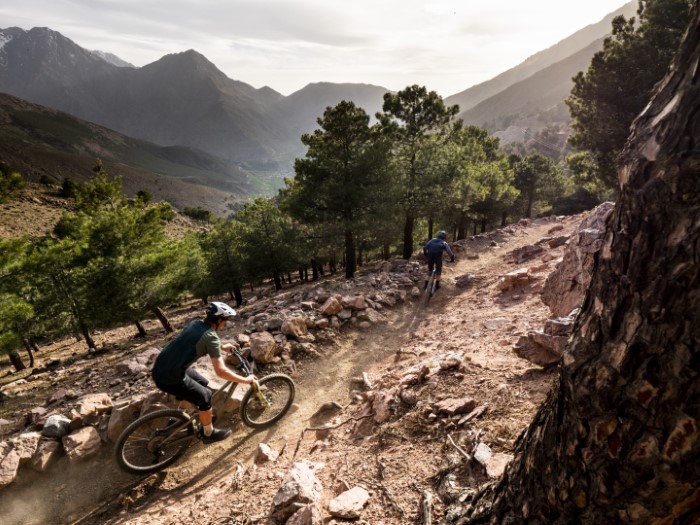 自分なりの旅へ